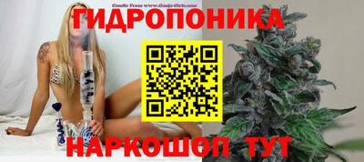 ALPHA PVP Малгобек
