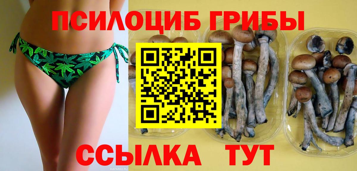 Славянск-на-Кубани  Галлюциногенные грибы Magic Shrooms  Вход с VPN 